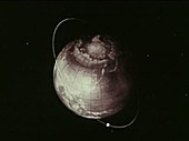 Sputnik 1 in orbit, animation