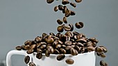 Coffee beans falling, slow motion