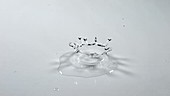 Water droplet falling, slow motion