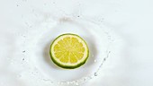 Lime slice in water, slow motion