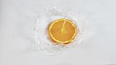 Orange slice in water, slow motion