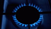 Blue gas flame on stove