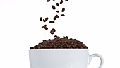 Coffee beans falling, slow motion