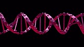 DNA genetic engineering concept