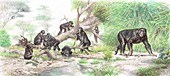 Griphopithecus, illustration