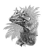 Estemmenosuchus therapsid, illustration