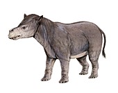 Coryphodon, illustration