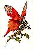 British butterfly, early 20th Century conceptual image