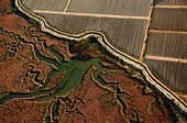 Marshes, aerial photograph