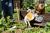 Child watering vegetables
