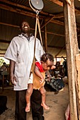 Weighing a baby