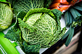 Savoy cabbage (Brassica oleracea)