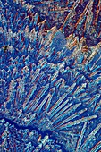 Avastin anti-cancer drug, polarised light micrograph