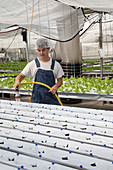 Indoor farm, Denver, USA