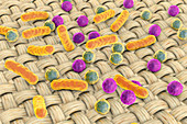 Bacteria on fabric surface, illustration