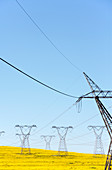 Electricity pylons