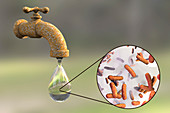 Safety of drinking water, conceptual illustration