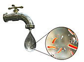 Safety of drinking water, conceptual illustration