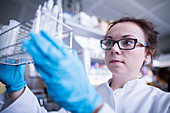 Female scientist in laboratory