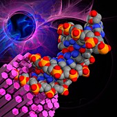 DNA molecule, illustration