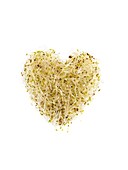 Sprouting alfalfa, heart shaped