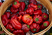 Red peppers in a wooden basket