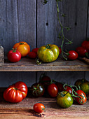Various types of tomatoes on a wooden shelf
