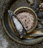 Various types of salt and clam shells arranged on spanish moss