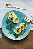 Baguette with sliced egg and herbs