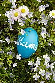 Blaues Ei mit Tafelfarbe bemalt und mit Schriftzug 'Mama' auf Frühlingswiese liegend