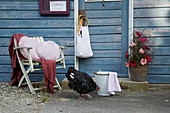 Cushions with hand-sewn covers on wooden chair, handmade cloth bag, arrangement of gerbera daisies, bucket and hen outside wooden house