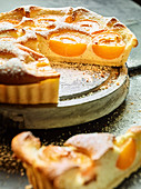 An apricot and sour cream cake