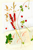 Fresh wild strawberries on grass stalks and an old book with embroidery patterns
