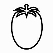 Plum tomato, black-and-white illustration