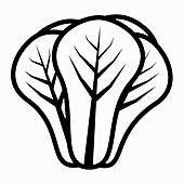 Flower sprout, black-and-white illustration