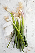 Young garlic with green shoots