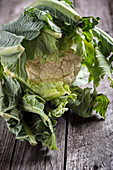 A fresh cauliflower on a wooden background