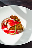 Rhubarb panna cotta with crispy waffles and a rhubarb sauce in a white plate on a dark background