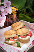 Scones with clotted cream, Pimms strawberries and peppermint