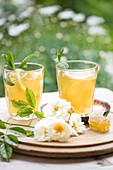 Green honey iced tea with peppermint and ginger