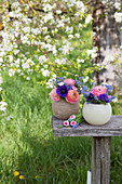 Kugelvasen mit Frühlngsblumen im Garten