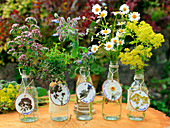 Garden herbs in glass bottles with tags made from wooden discs