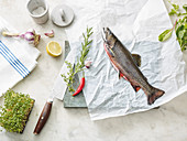Char on parchment paper with fresh herbs and spices