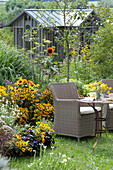 Seating place at the yellow late summer flower bed
