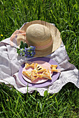 Bow-shaped pastries on purple plate in meadow