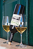 White wine in a bottle and in two glasses, Quinta Dona Maria winery, Alentejo, Portugal