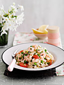 Prawn risotto with tomatoes