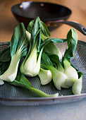 Fresh pak choi