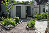 Beds with cobble edging and shed in courtyard