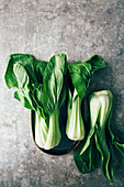 Paksoi (chinese white cabbage)